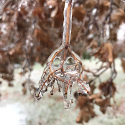 makes marsha studio re