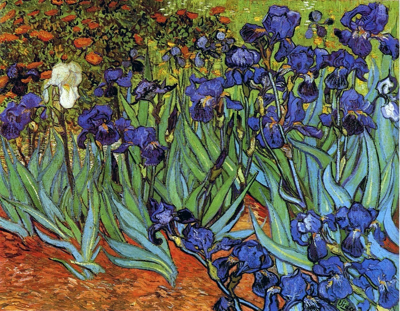 Marie Dauenheimer's Art and Anatomy Blog: Vincent Van Gogh in Arles, St ...