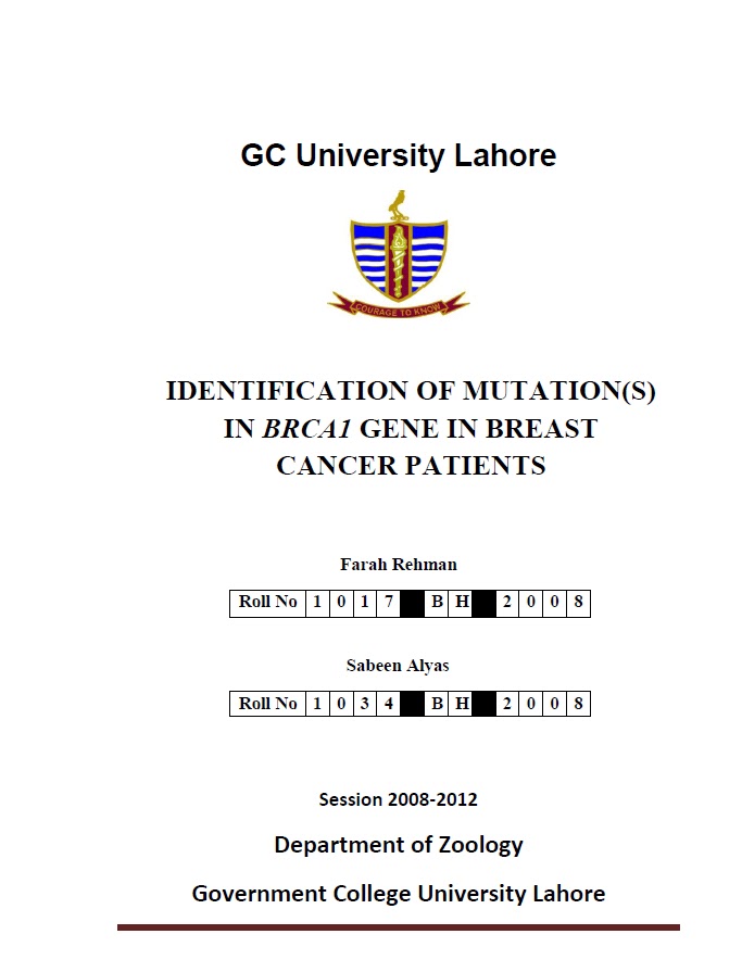 What is a dissertation picture