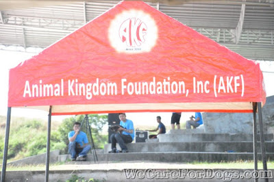 Animal Kingdom Foundation's tent - Philippine Dog Festival 2014 - December 12, 2014 Animal Kingdom Foundation's tent - Philippine Dog Festival 2014 - December 12, 2014