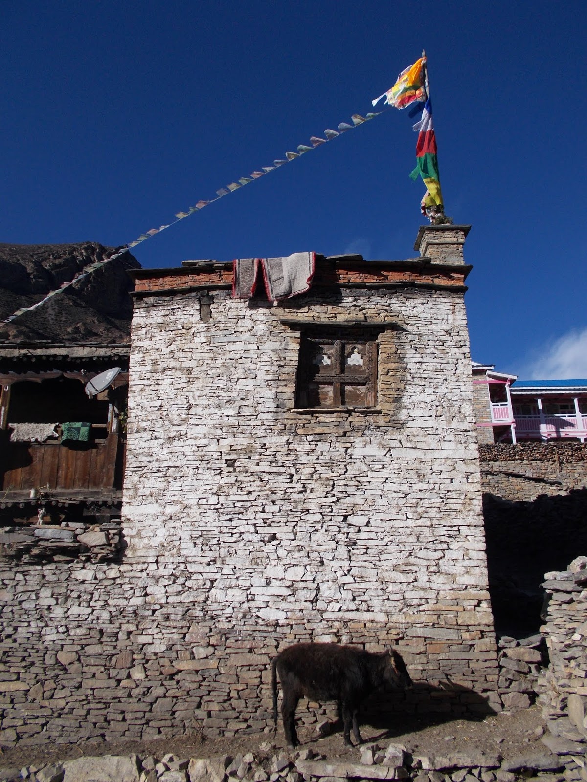 Вокруг Манаслу, долина Цум, Нар-Пу. Непал 2017.
