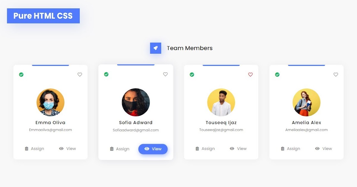How To Create Responsive Our Team Section Using HTML And CSS