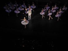 SWAN LAKE