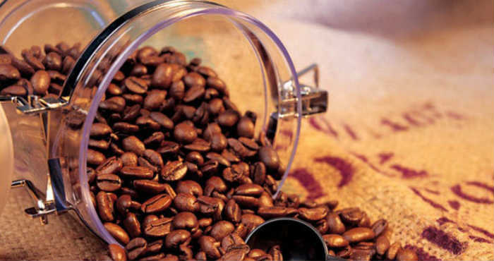 Selain Sehat, Kopi Juga Bisa Mencegah 4 Penyakit Akut Selain Sehat, Kopi Juga Bisa Mencegah 4 Penyakit Akut