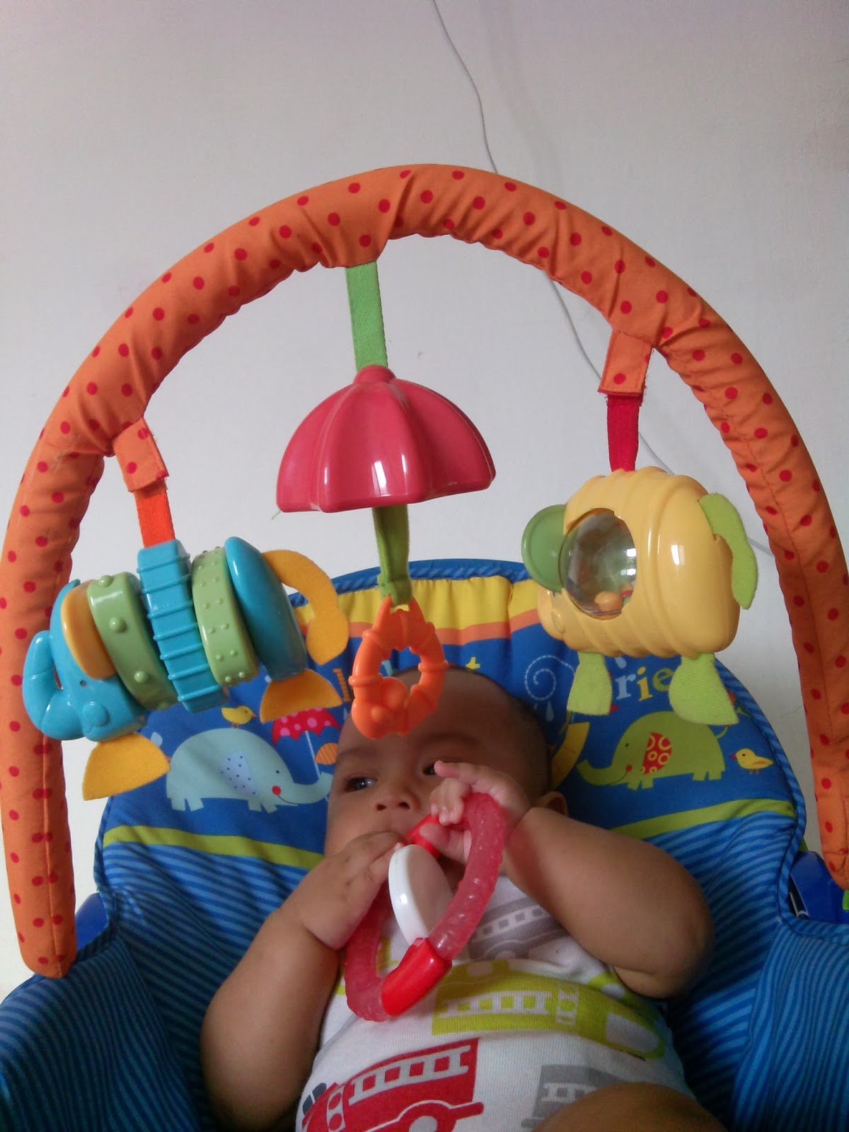 bouncer sugar baby untuk newborn