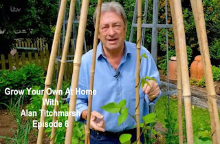 Grow your own at home with Alan Titchmarsh Episode 6