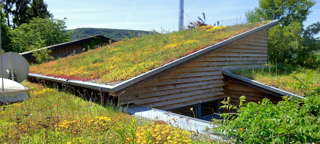 What is Green Roof Construction?