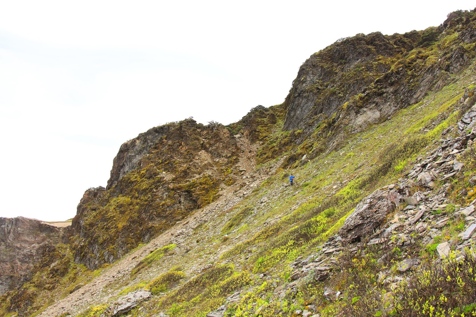 奇萊稜線連走屏風山