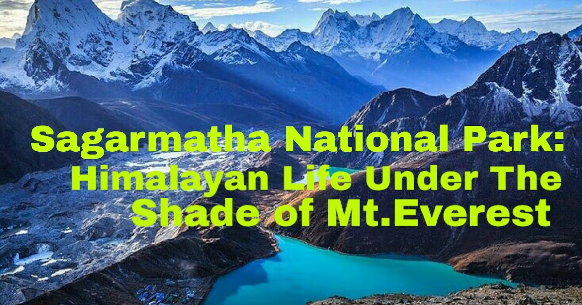 Tripadvisor Nepal: Sagarmatha National Park:Home of Mount Everest
