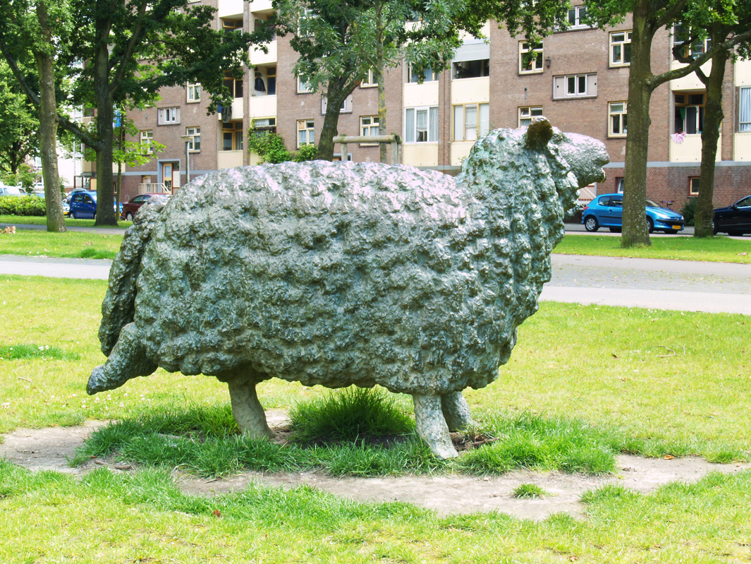 VERBEELDINGSBLOG GERRIT BOLHUIS Schaap met vijf