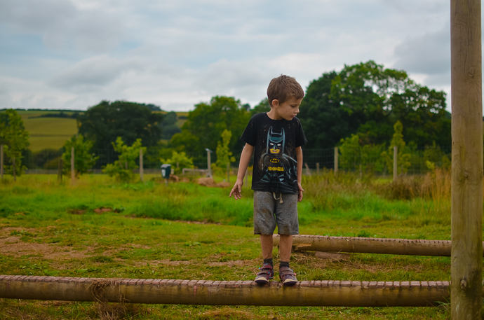 The Bear Trail, family assault course, Cullompton Devon