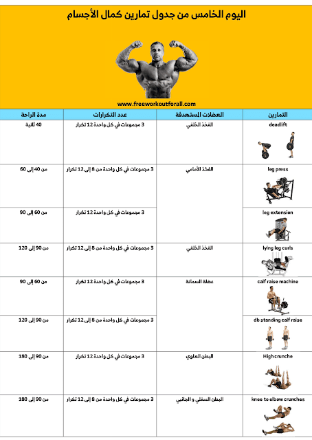 جدول تمارين كمال الاجسام