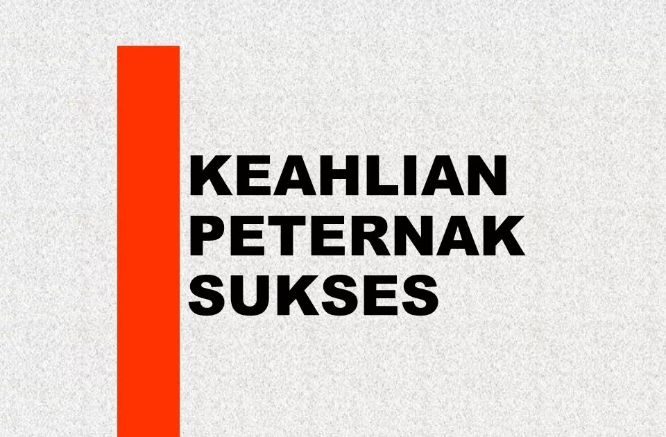 4 Keahlian Peternak Yang Harus Dimiliki Jika Ingin Sukses