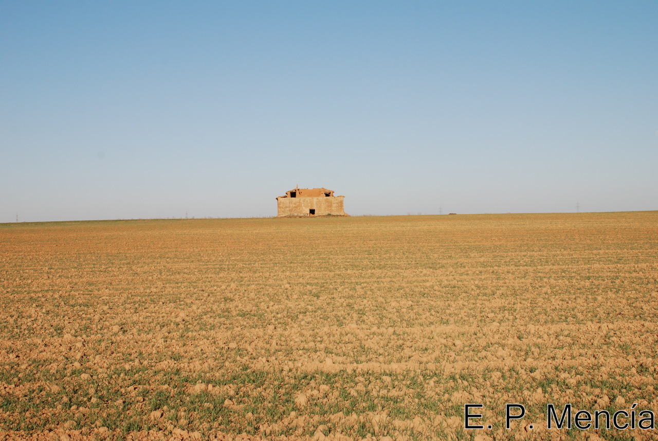Patrimonio popular Palomares en Roales de Campos.