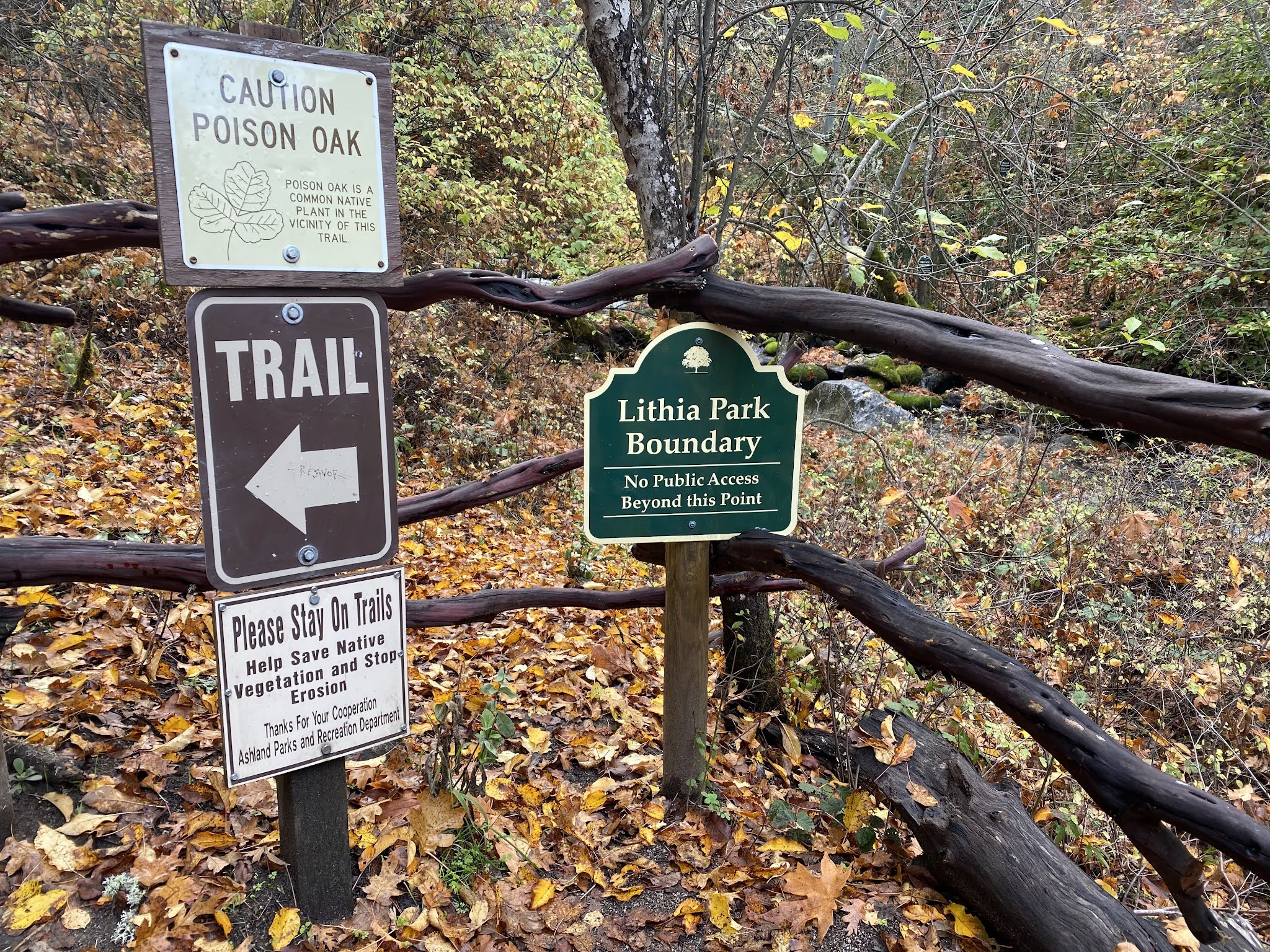 Lithia Loop Trail Marathon 10 years later