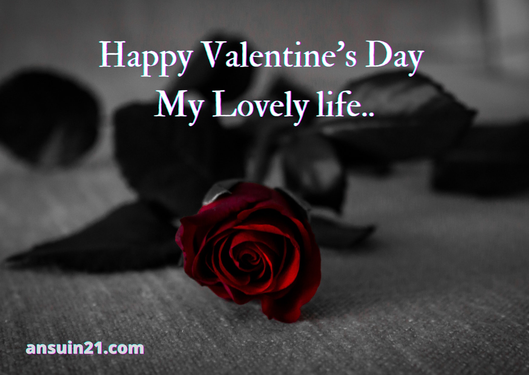 Happy Valentine's Day Wishes, Images & Quotes Happy Valentine's Day Wishes, Images & Quotes