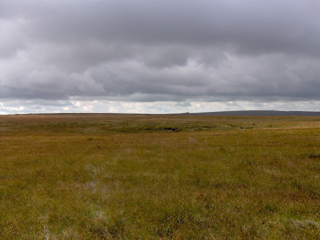 Dartmoor landscape