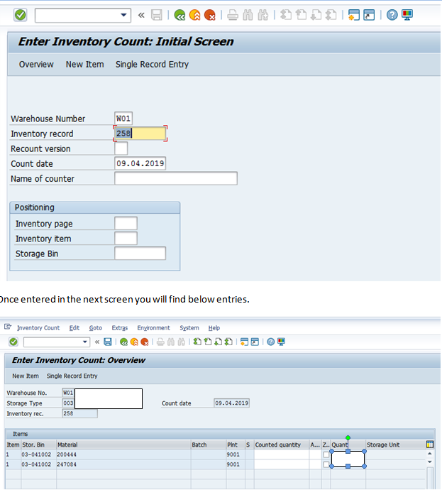 SAP ABAP Central Physical Inventory with respect to WM