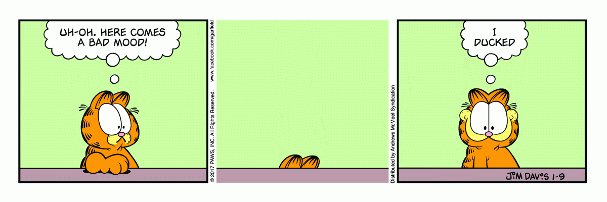 Quadrinhos do Garfield traduzidos com gabarito do english para português