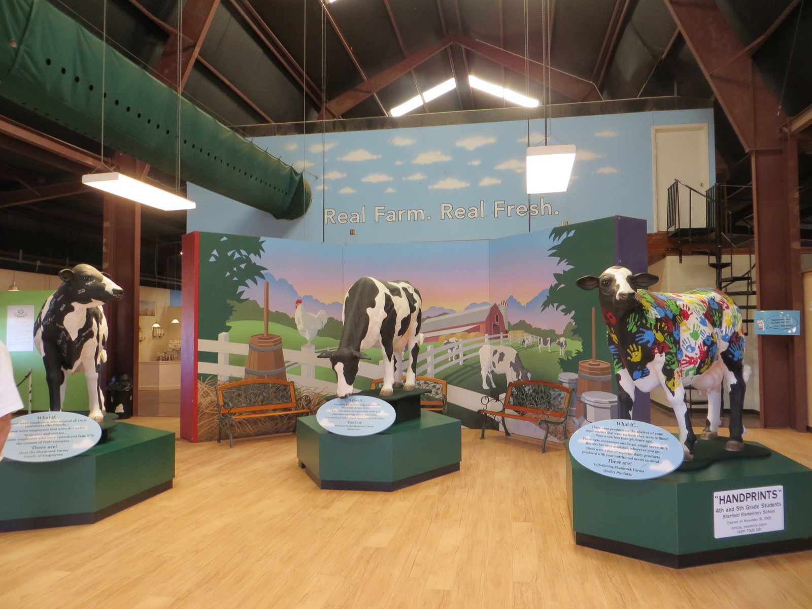 Palm Creek Update Shamrock Dairy Farm Tour