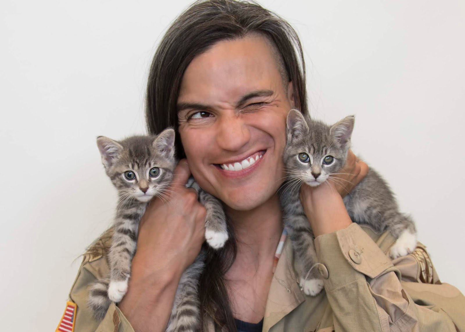 Cat and DOG Chat With Caren Adopt A Cat! Michigan Humane Society makes