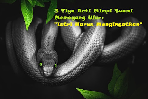 16+ Mimpi Memegang Kepala Ular Togel