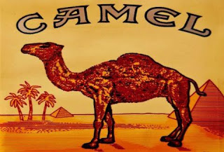 Αλήθεια, τι κρύβει η καμήλα στα τσιγάρα Camel;
