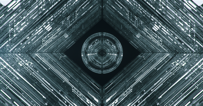 Donu0026#39;t Feed The Blog: La teoru00eda del u0026#39;bosque oscurou0026#39; de internet