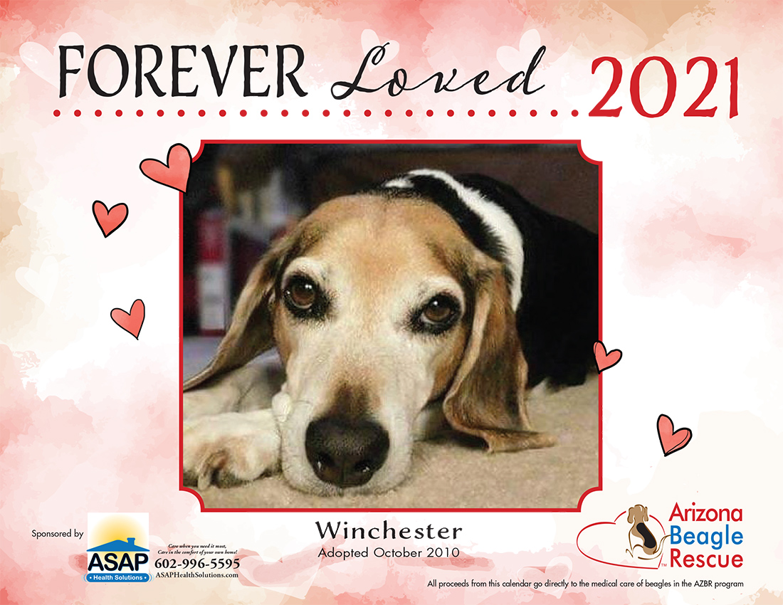 Arizona Beagle Rescue