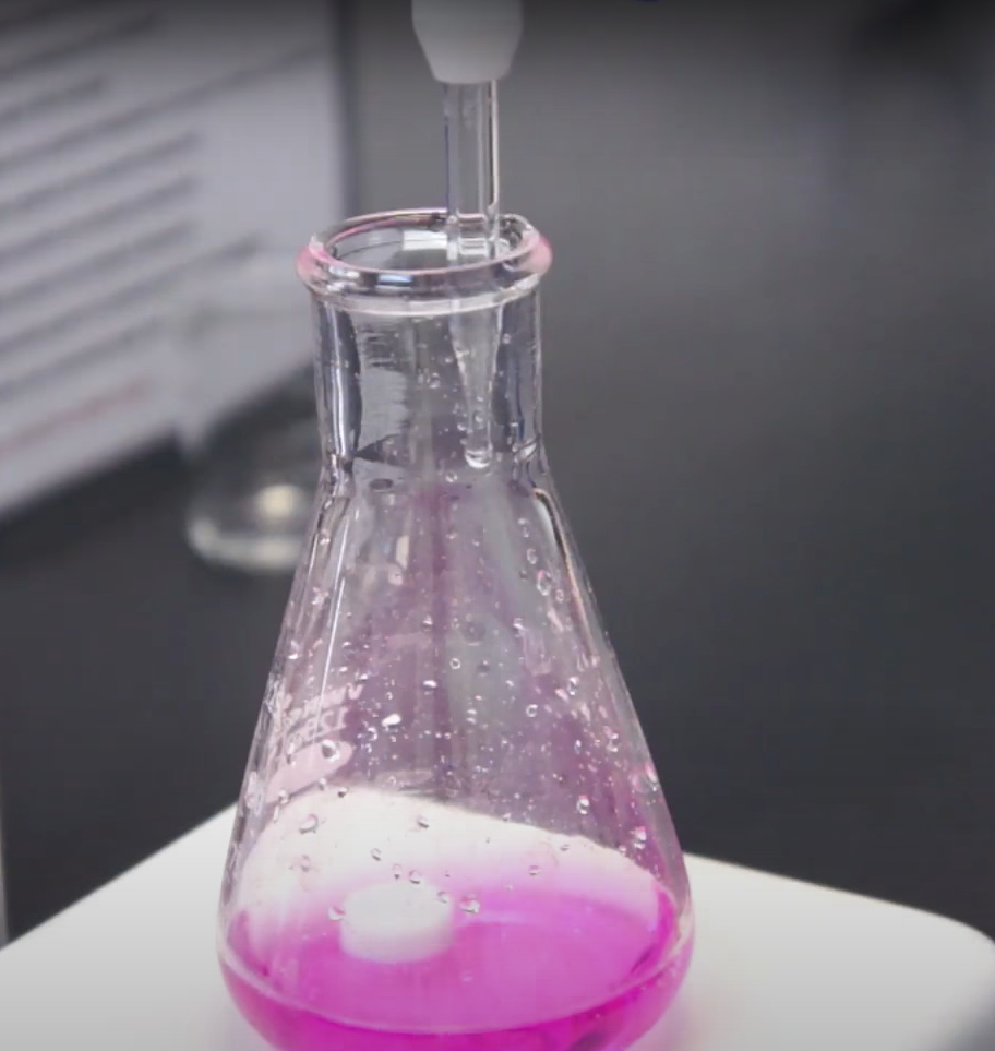 MANGO TREES Organic acid in mango