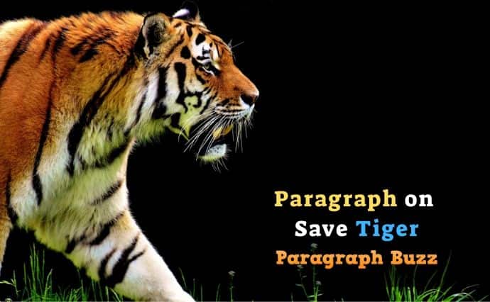 save tiger essay for class 5