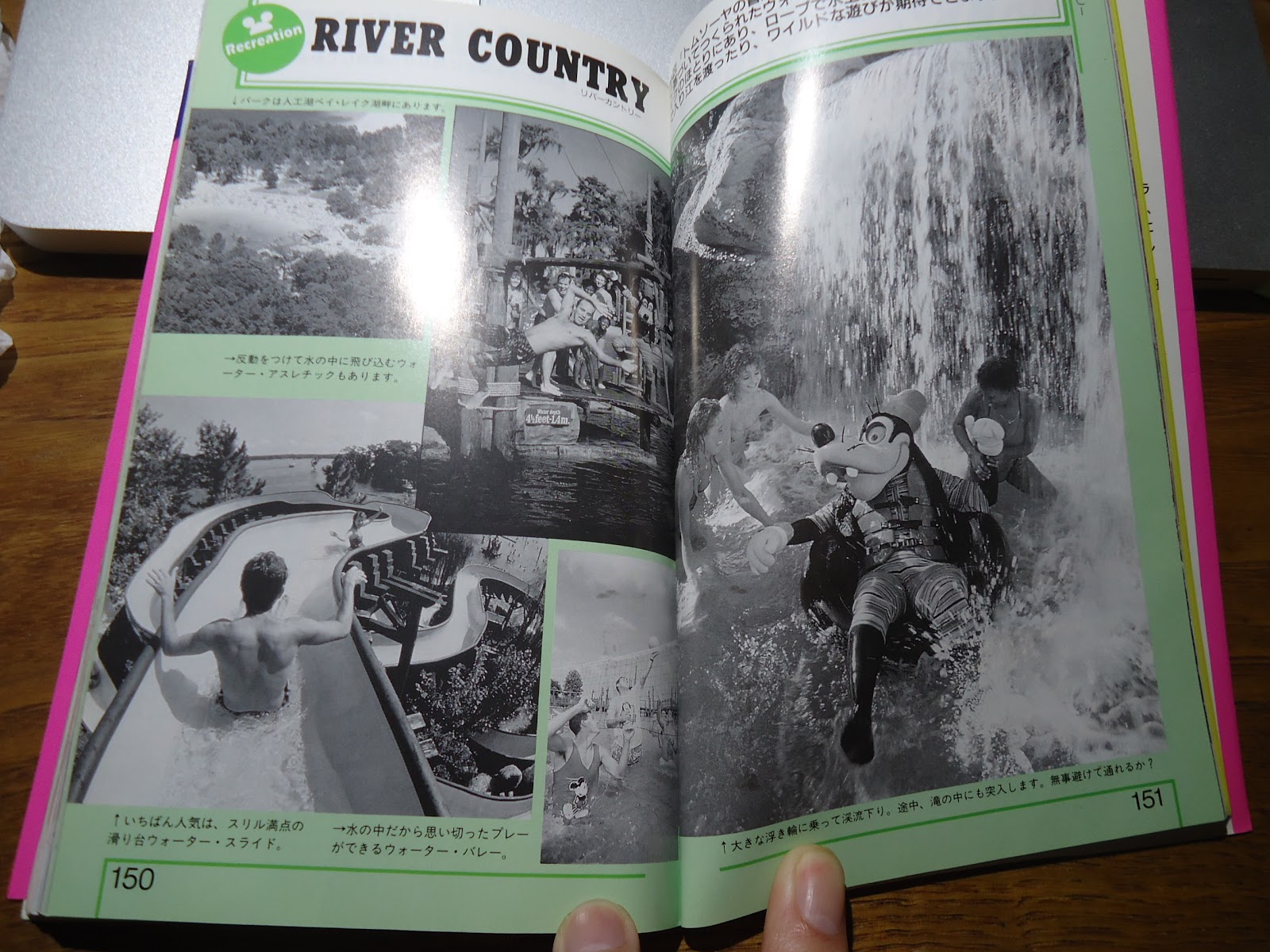 ディズニーの本 ウォルト ディズニー ワールド 完全ガイド を読んでみた ぼくのケチリッチな節約日記