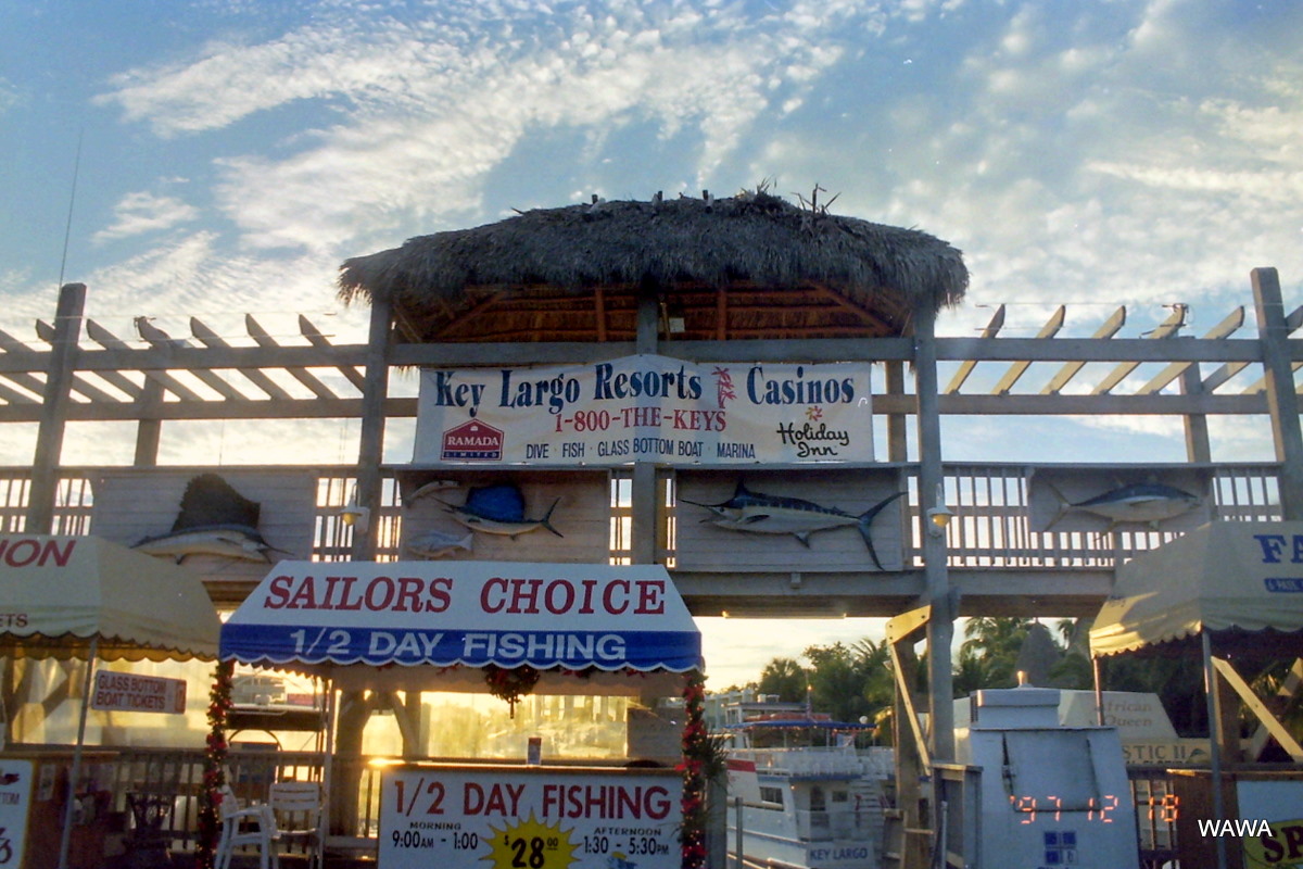 No Fish in The World Key Largo Resorts & Casinos Holiday inn