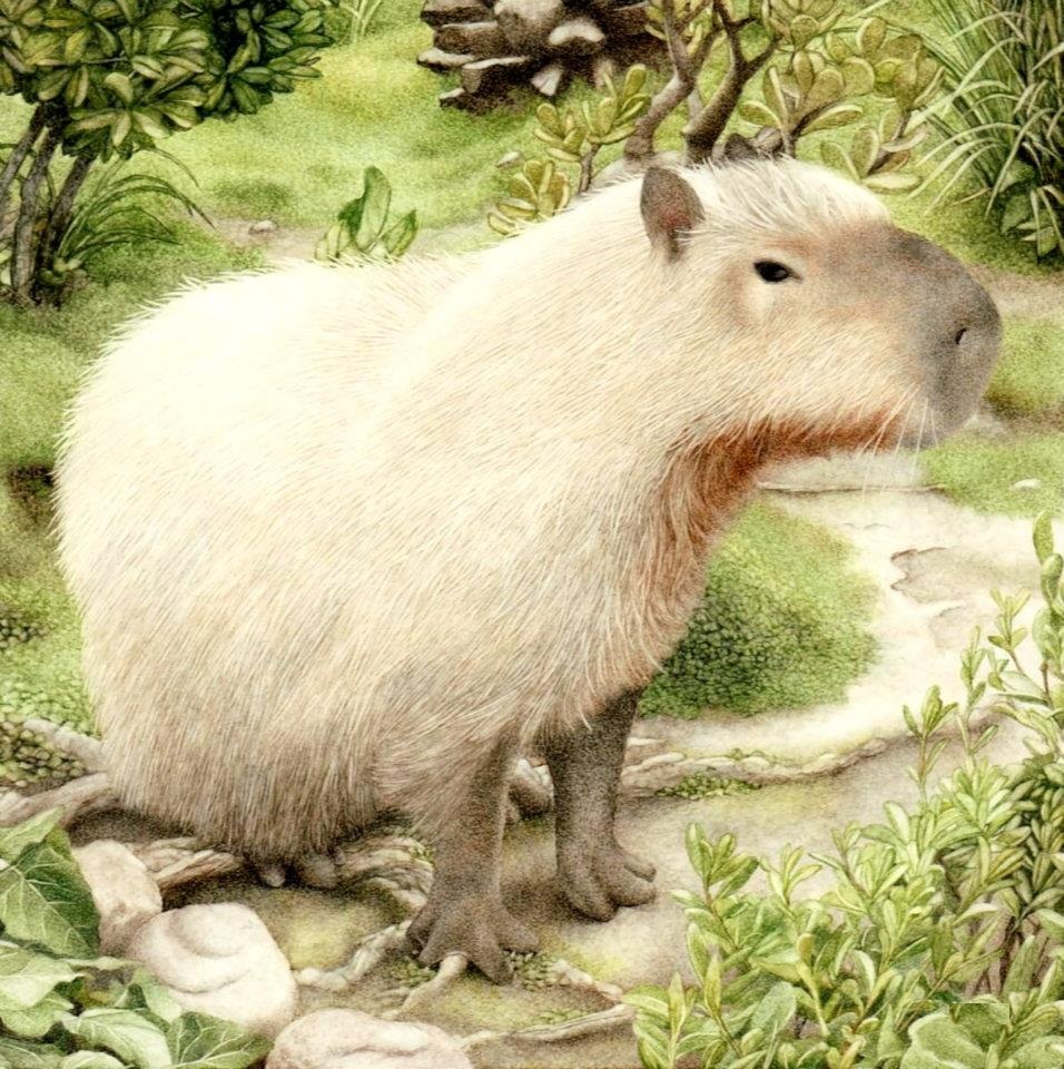 Капибара картина маслом