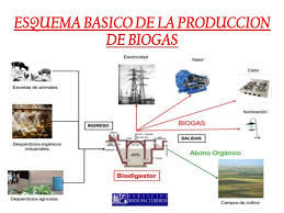 Elaboración de Biogas