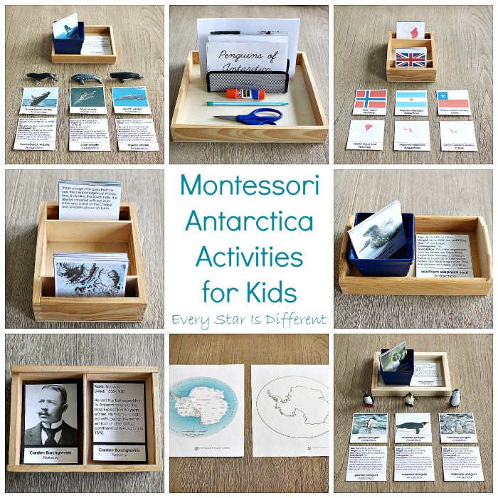 Antarctica Activities for Kids