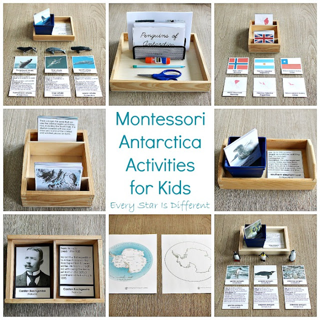 Montessori Antarctica Activities for Kids
