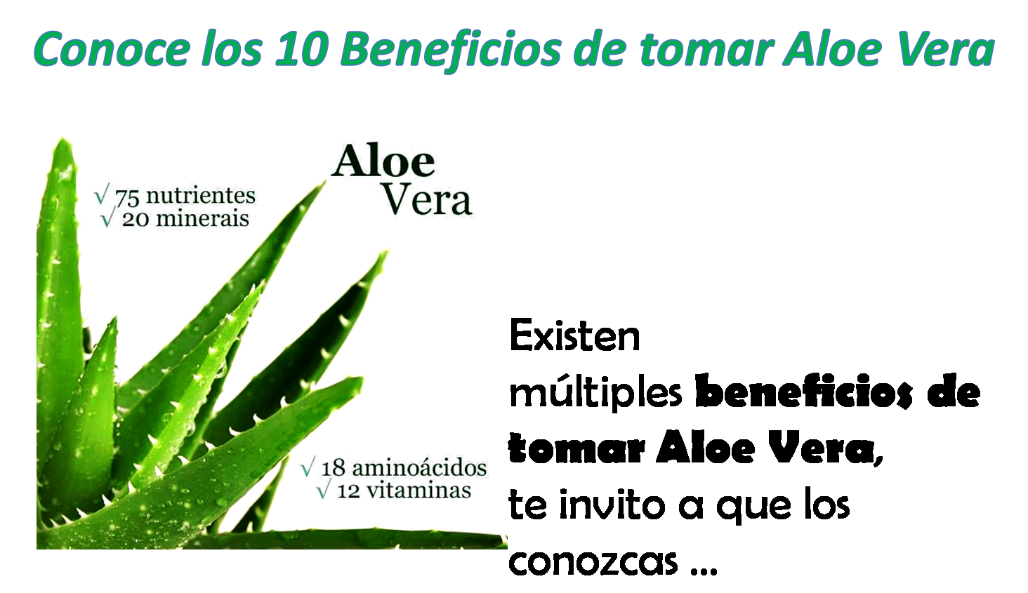 Conoce los beneficios del Aloe Vera Bellloe