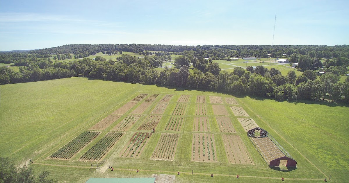 The Press Online 'Victory Gardens Revival' next week