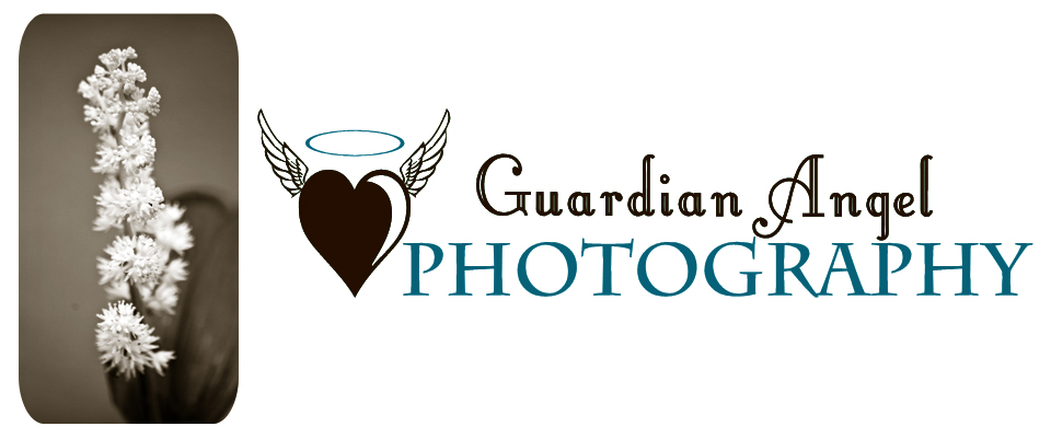 Guardian Angel Photography