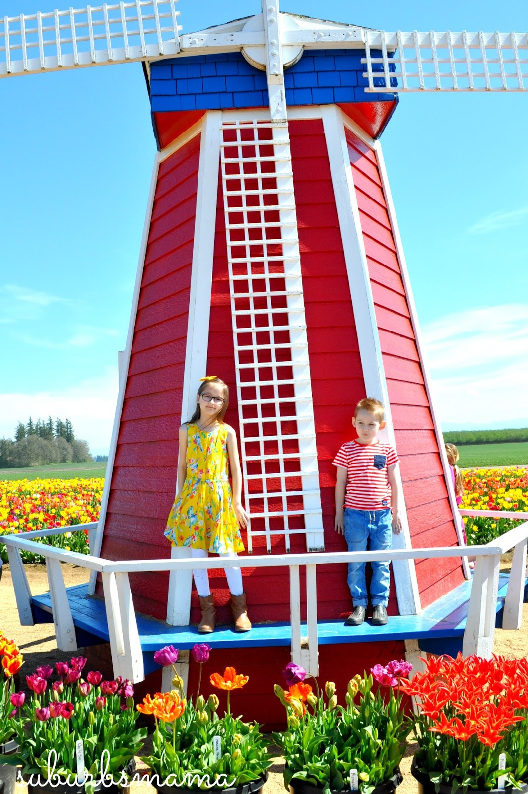 Suburbs Mama Visit to the tulip farm...