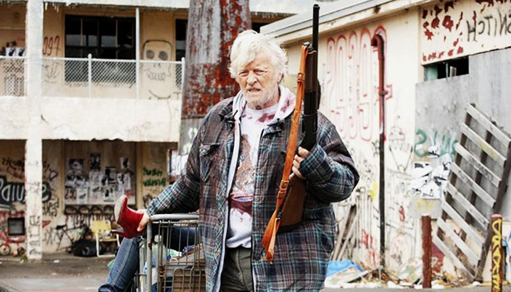 The Bokchoy「白菜新聞」 The world's first Newspaper USA announces