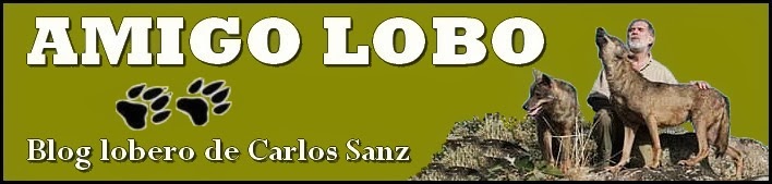 AMIGO LOBO: Blog lobero de Carlos Sanz