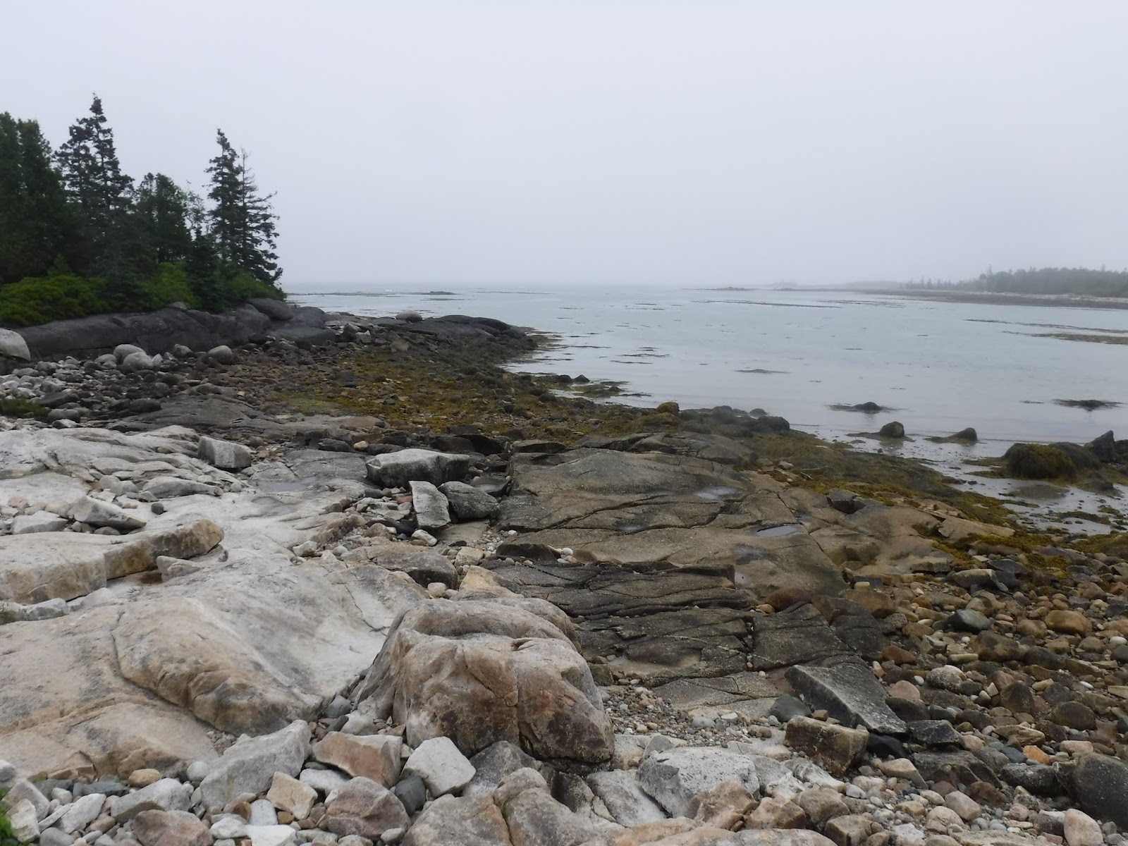 Downeast Day Trip (Tidal Falls Preserve, Acadia Schoodic Peninsula and