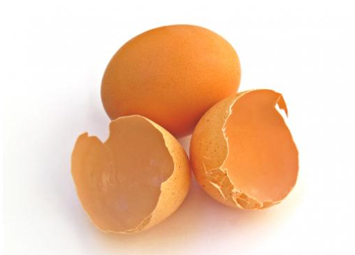 1001 Dahsyatnya Manfaat Kulit Telur Dan Cara Penggunaanya 1001