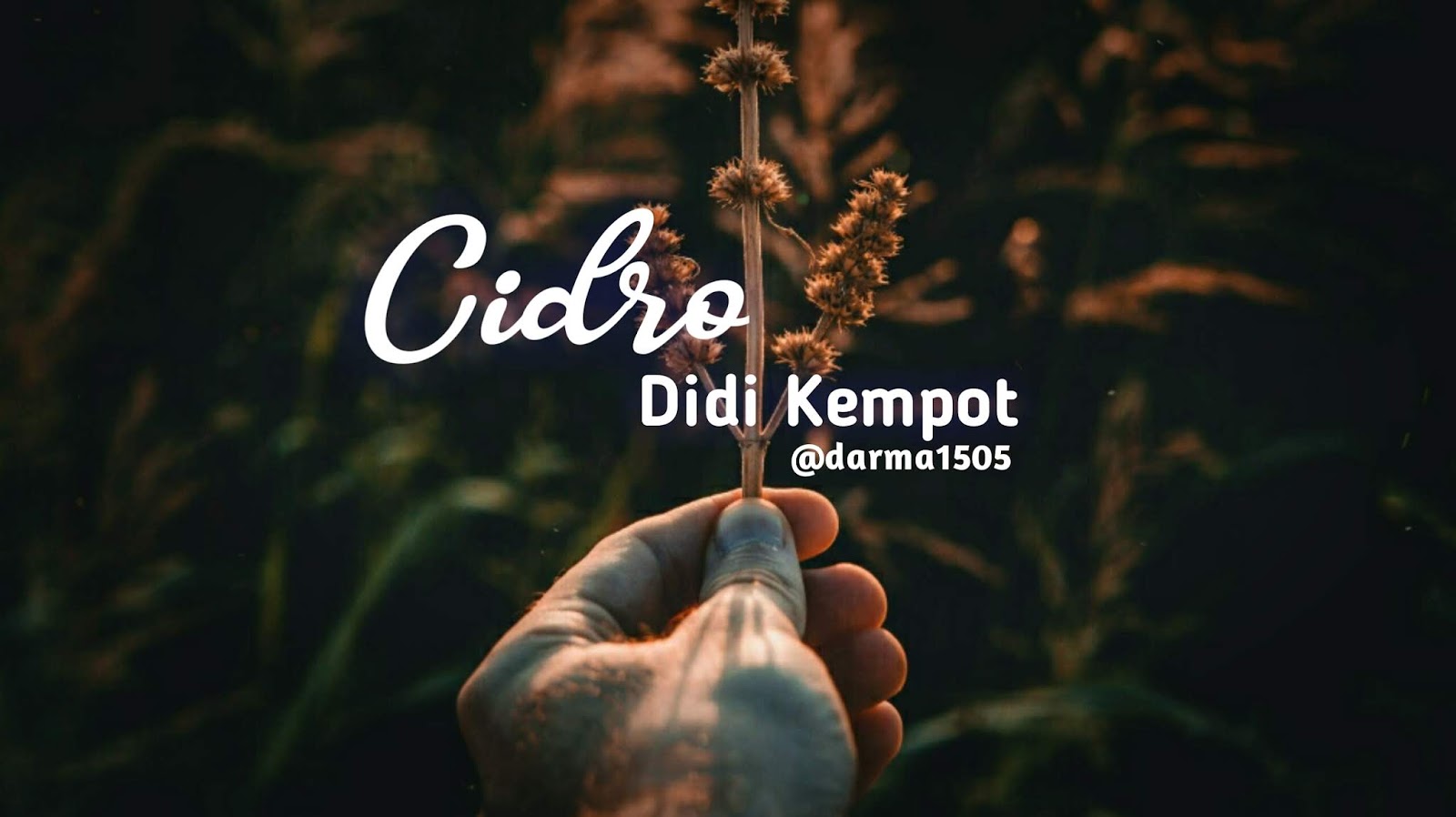 Download Lagu Cidro Didi Kempot