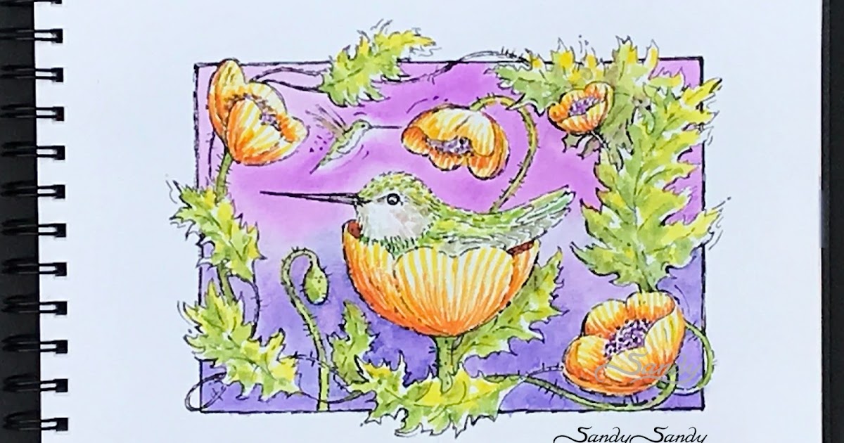 *Drawing Every Day* Drawing Every Day / Sketching Every Day