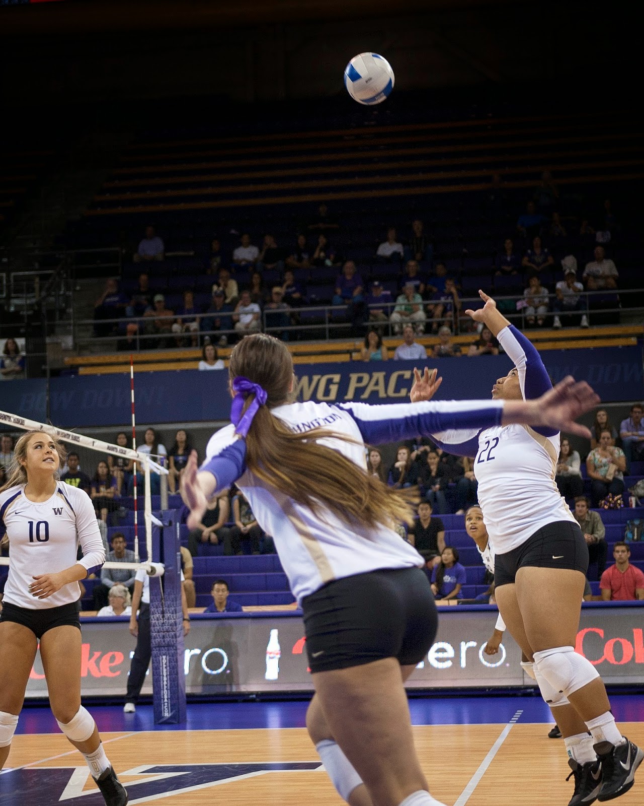Volleyblog Seattle: College | Washington volleyball among dwindling ...