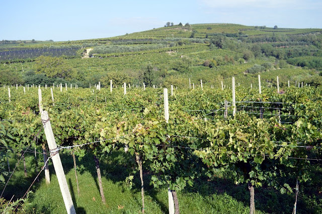 percorso dei 10 capitelli soave