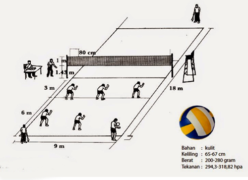 Ukuran Lapangan Bola Voli Berstandar Nasional Internasional Penjasorkes